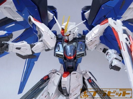 納得できる割引 Mg スペシャルコーティングver フリーダムガンダムver 2 0 1 100 プラモデル Cronoslab Org